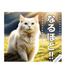 【猫】神々しいネコ（個別スタンプ：18）