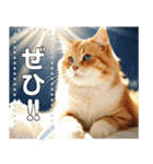 【猫】神々しいネコ（個別スタンプ：19）
