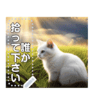 【猫】神々しいネコ（個別スタンプ：20）