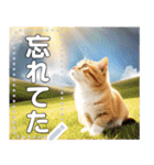 【猫】神々しいネコ（個別スタンプ：22）