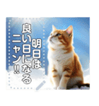 【猫】神々しいネコ（個別スタンプ：24）