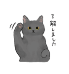 うちの子グレー猫！(にほんねこ)（個別スタンプ：2）