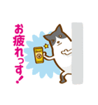 任意団体！3びきのねこスタンプ-修正版-（個別スタンプ：8）