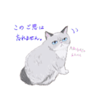 イイと思ってる猫たち（個別スタンプ：1）