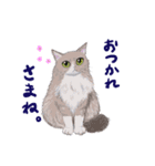 イイと思ってる猫たち（個別スタンプ：2）