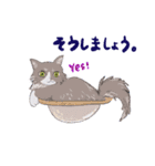 イイと思ってる猫たち（個別スタンプ：5）