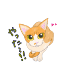 イイと思ってる猫たち（個別スタンプ：6）