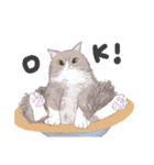 イイと思ってる猫たち（個別スタンプ：7）
