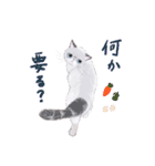 イイと思ってる猫たち（個別スタンプ：9）