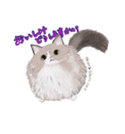 イイと思ってる猫たち（個別スタンプ：10）