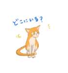 イイと思ってる猫たち（個別スタンプ：11）