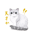 イイと思ってる猫たち（個別スタンプ：12）