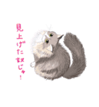 イイと思ってる猫たち（個別スタンプ：13）