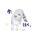 イイと思ってる猫たち（個別スタンプ：15）