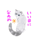 イイと思ってる猫たち（個別スタンプ：17）