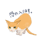 イイと思ってる猫たち（個別スタンプ：20）