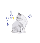 イイと思ってる猫たち（個別スタンプ：22）