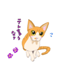 イイと思ってる猫たち（個別スタンプ：23）