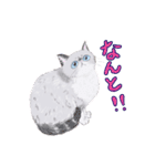 イイと思ってる猫たち（個別スタンプ：24）