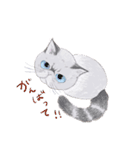 イイと思ってる猫たち（個別スタンプ：25）