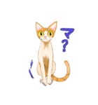イイと思ってる猫たち（個別スタンプ：27）