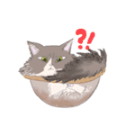 イイと思ってる猫たち（個別スタンプ：32）