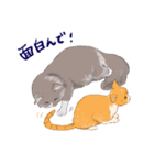 イイと思ってる猫たち（個別スタンプ：35）
