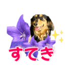 タックスLoveちゃん37キキョウとLoveちゃん（個別スタンプ：3）