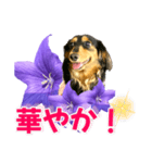 タックスLoveちゃん37キキョウとLoveちゃん（個別スタンプ：4）