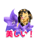 タックスLoveちゃん37キキョウとLoveちゃん（個別スタンプ：7）