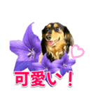 タックスLoveちゃん37キキョウとLoveちゃん（個別スタンプ：8）