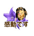 タックスLoveちゃん37キキョウとLoveちゃん（個別スタンプ：15）