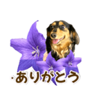 タックスLoveちゃん37キキョウとLoveちゃん（個別スタンプ：16）