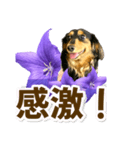 タックスLoveちゃん37キキョウとLoveちゃん（個別スタンプ：17）