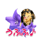 タックスLoveちゃん37キキョウとLoveちゃん（個別スタンプ：23）
