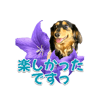 タックスLoveちゃん37キキョウとLoveちゃん（個別スタンプ：26）