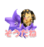 タックスLoveちゃん37キキョウとLoveちゃん（個別スタンプ：31）