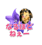 タックスLoveちゃん37キキョウとLoveちゃん（個別スタンプ：32）
