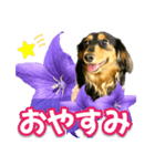 タックスLoveちゃん37キキョウとLoveちゃん（個別スタンプ：39）