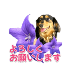 タックスLoveちゃん37キキョウとLoveちゃん（個別スタンプ：40）