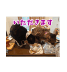 あるてぃめっと…にゃいやもんど2（個別スタンプ：2）