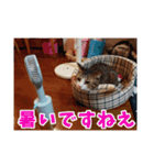 あるてぃめっと…にゃいやもんど2（個別スタンプ：3）