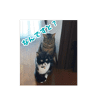 あるてぃめっと…にゃいやもんど2（個別スタンプ：5）