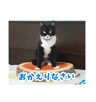 あるてぃめっと…にゃいやもんど2（個別スタンプ：6）