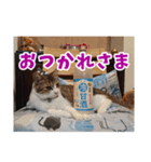 あるてぃめっと…にゃいやもんど2（個別スタンプ：7）