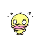 まぬけぴよぴぴ（個別スタンプ：1）