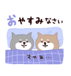 ◯SHIBAINUさん◯夏！（個別スタンプ：8）