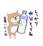 ◯SHIBAINUさん◯夏！（個別スタンプ：19）