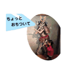 はん→スタ+α（個別スタンプ：6）