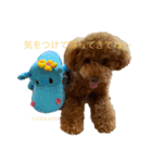 Angieの愛犬フランSTAMPS（個別スタンプ：1）